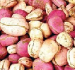 Cola nuts