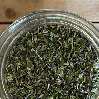 Hyssop Leaves