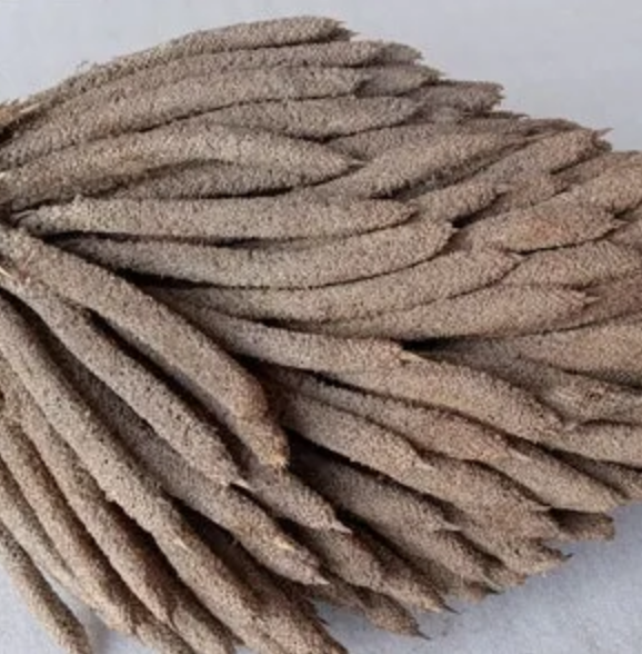 Rasta Incense